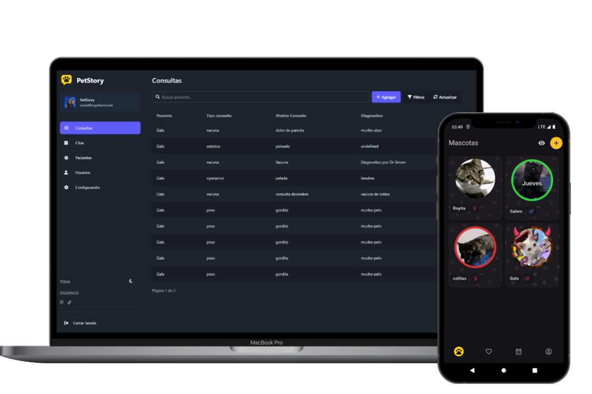 Módulo de consultas PetStory