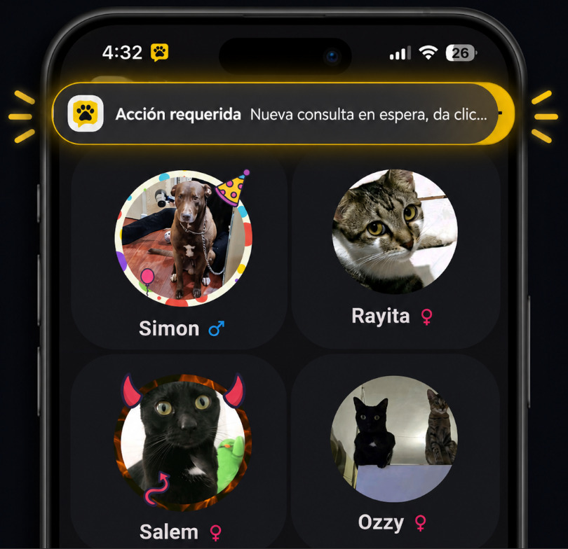 Notificaciones para tutores PetStory